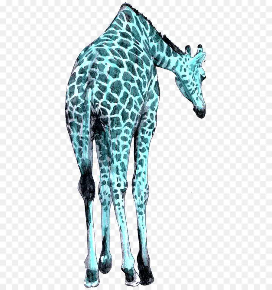 Girafe，Hérisson PNG