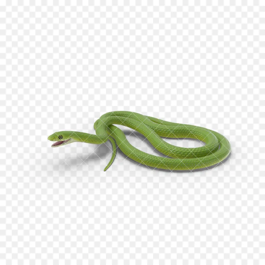 Serpent Vert，Reptile PNG