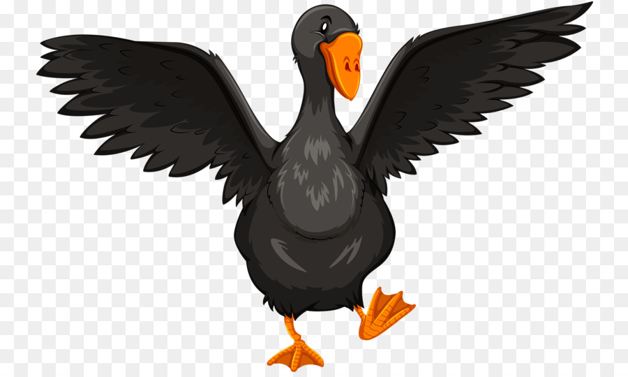 Canard，Oie PNG