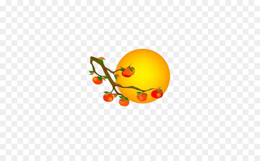 Persimmon，Orange PNG