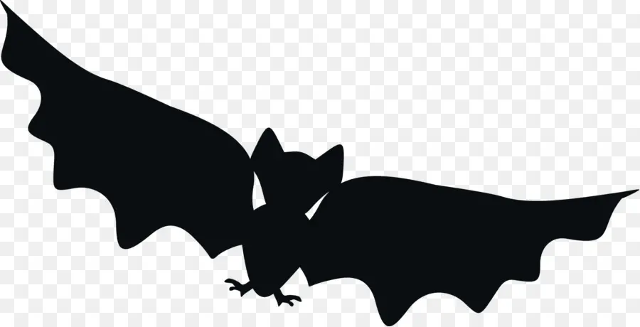 Chauves Souris Noires，Vol PNG