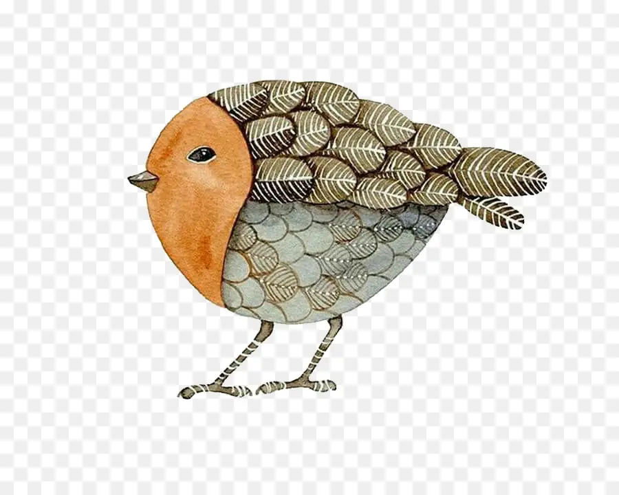 Oiseau De Dessin Animé，Mignon PNG