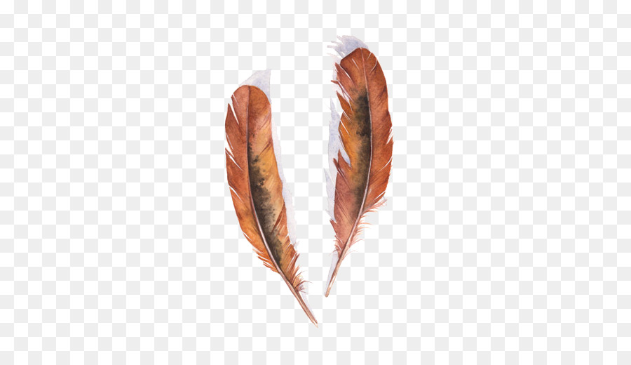 Plumes Brunes，Oiseau PNG