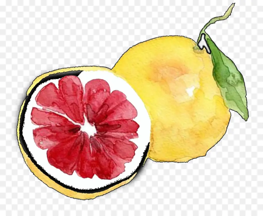 Aquarelle Citron，Citron PNG