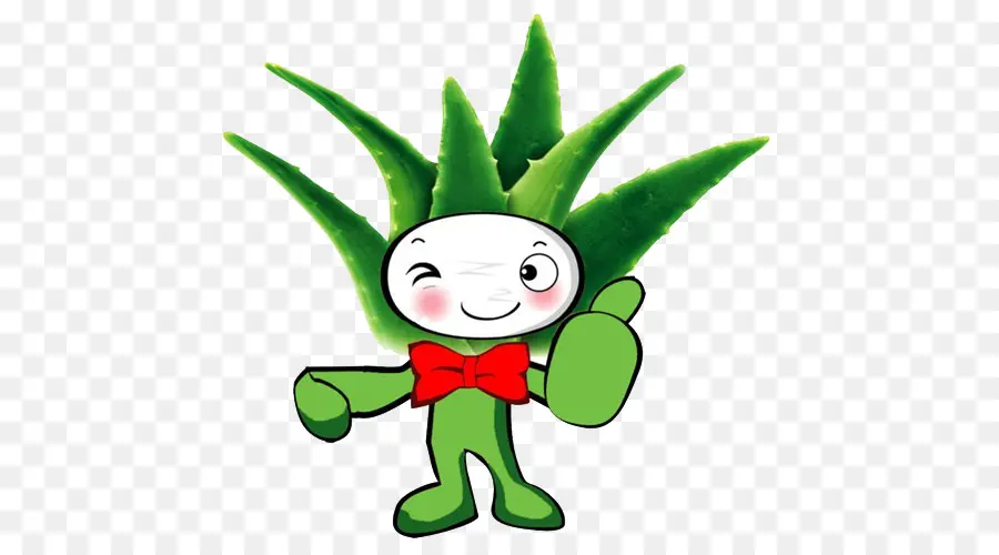 Mascotte D'aloès Vert，Aloès PNG