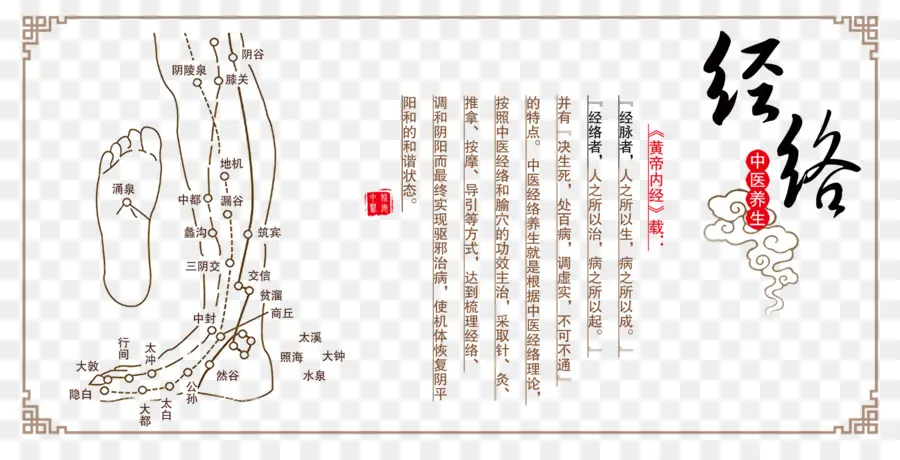 Diagramme Du Pied，Acupuncture PNG