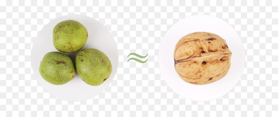 Noyer，Fruit PNG