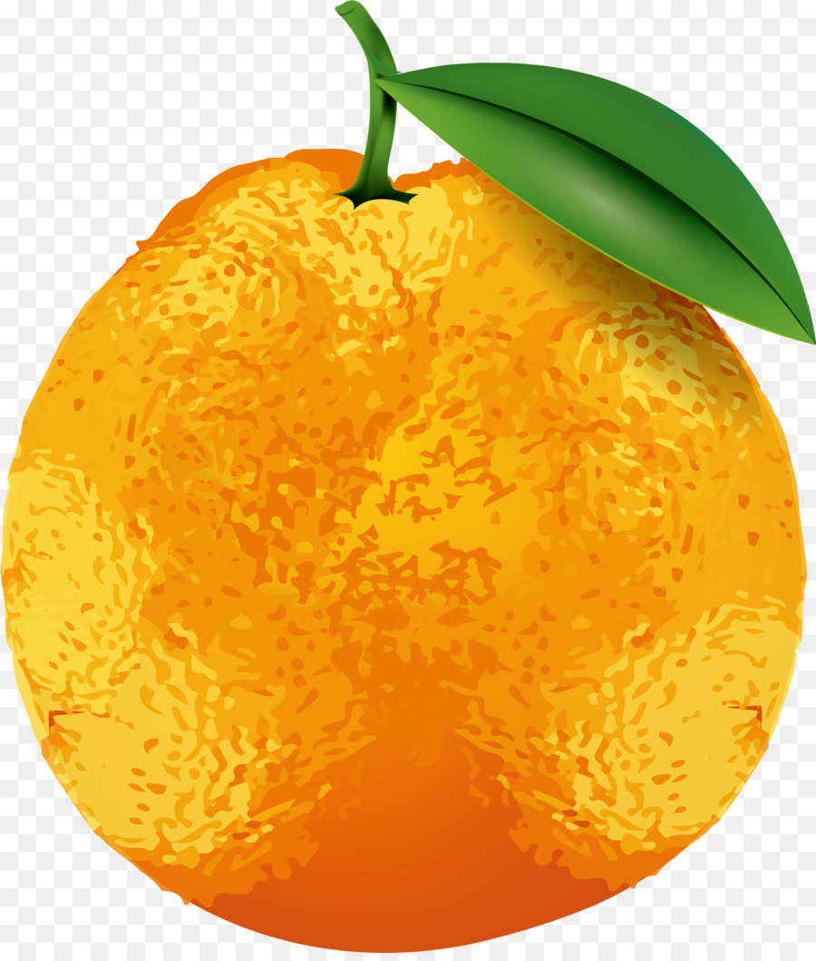 Orange，Agrumes PNG