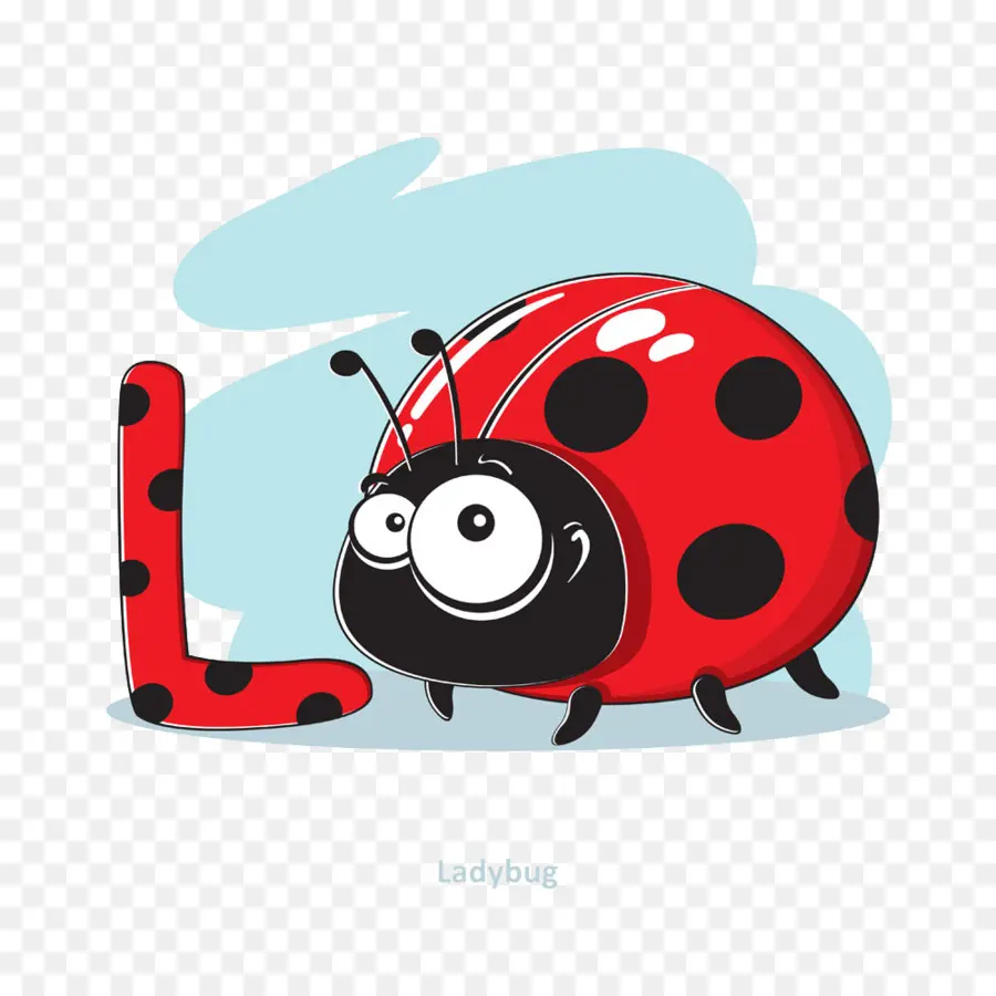 Coccinelle，Insecte PNG