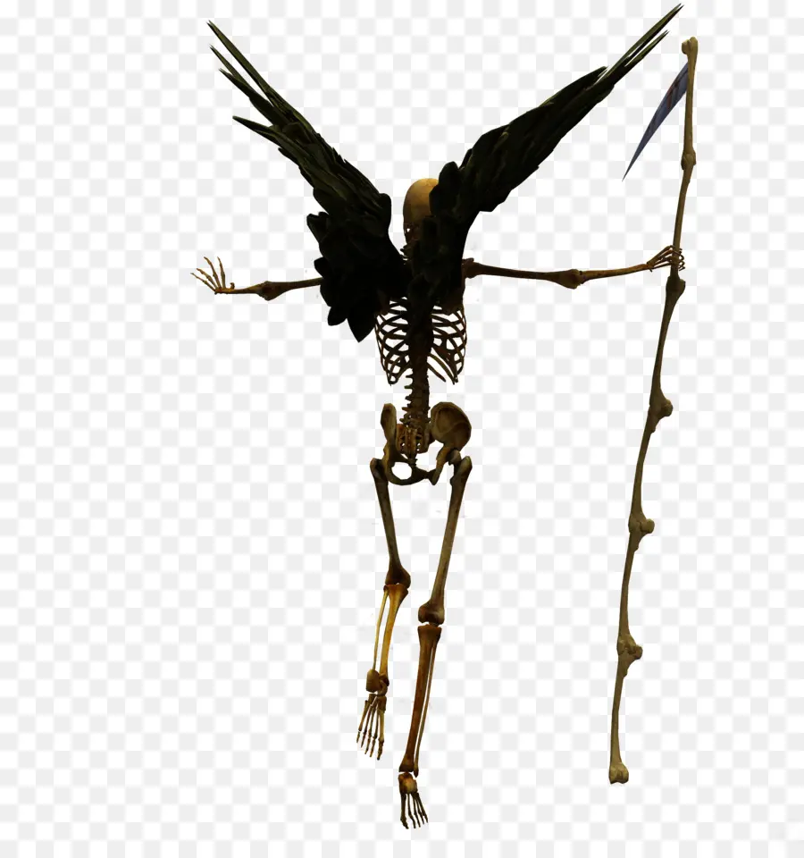 La Mort，Squelette PNG