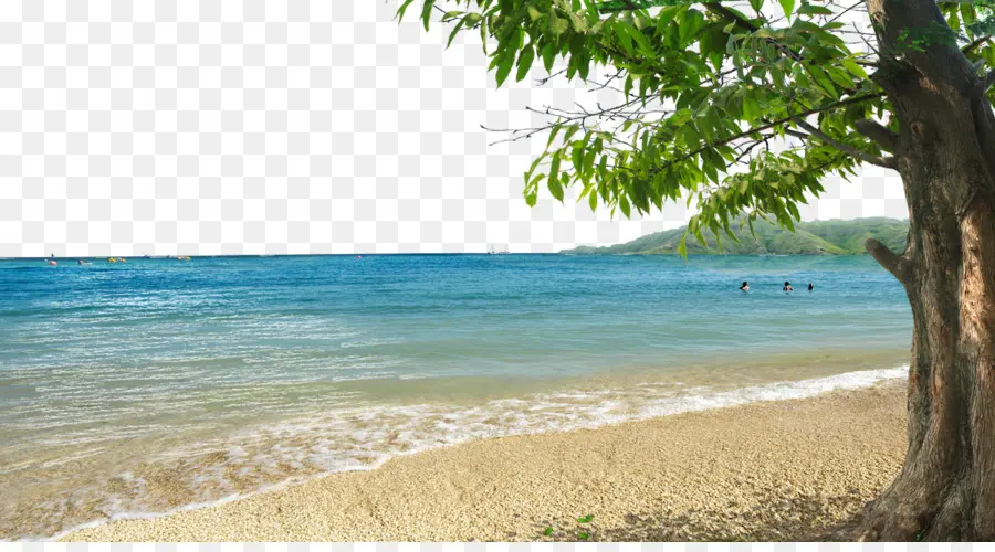 Rive，Plage PNG