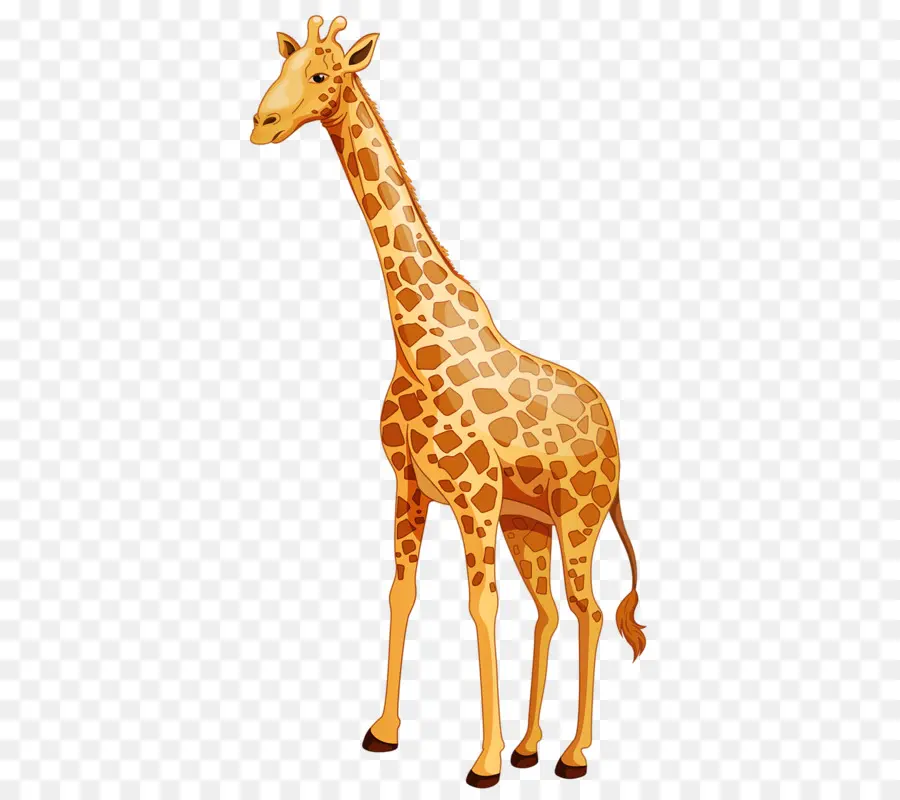 Bébé Girafes，Dessin Animé PNG