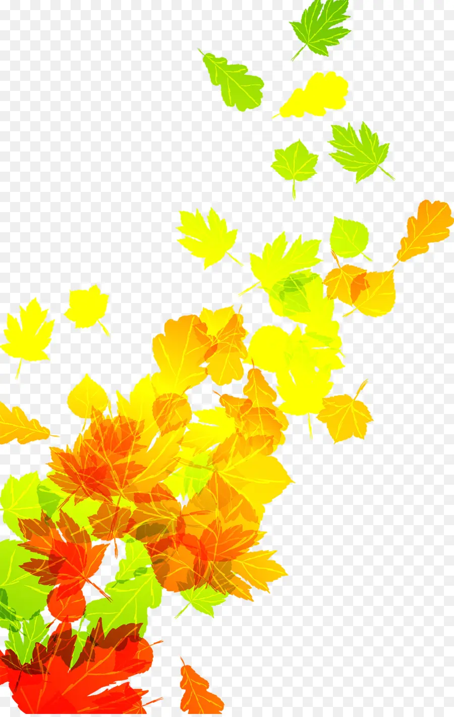 Feuilles Colorées，Automne PNG