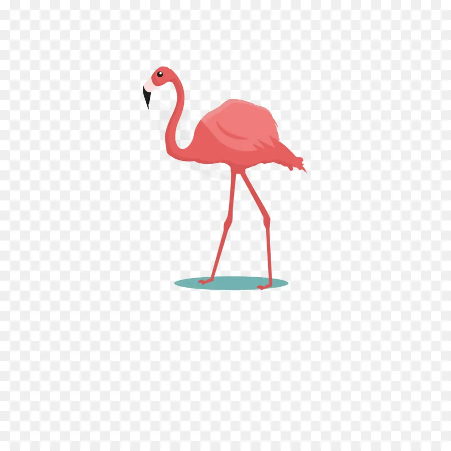 Flamant Rose，Debout PNG