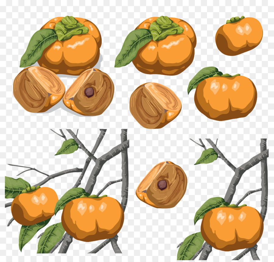 Kaki，Clementine PNG