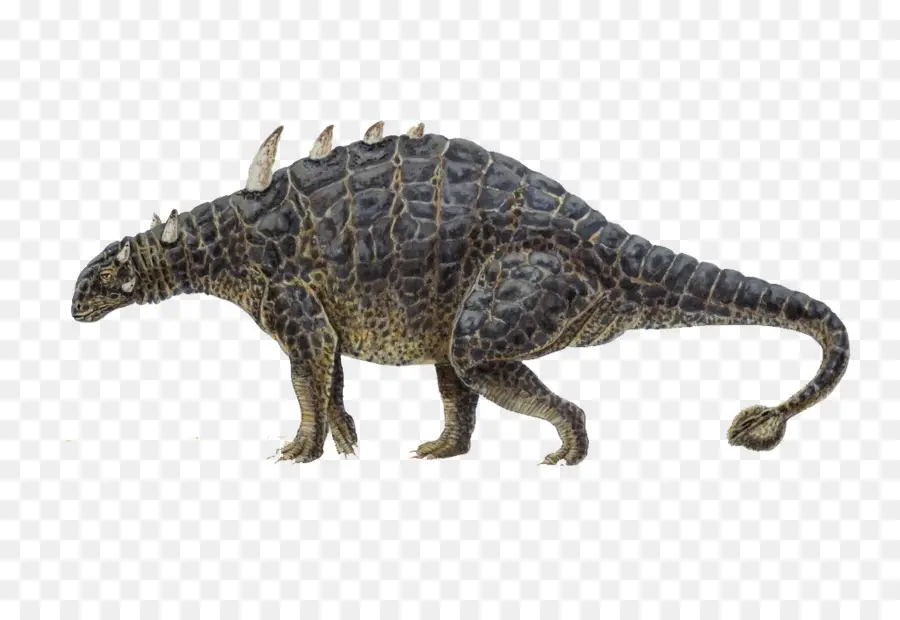 Euoplocephalus，Ankylosaure PNG
