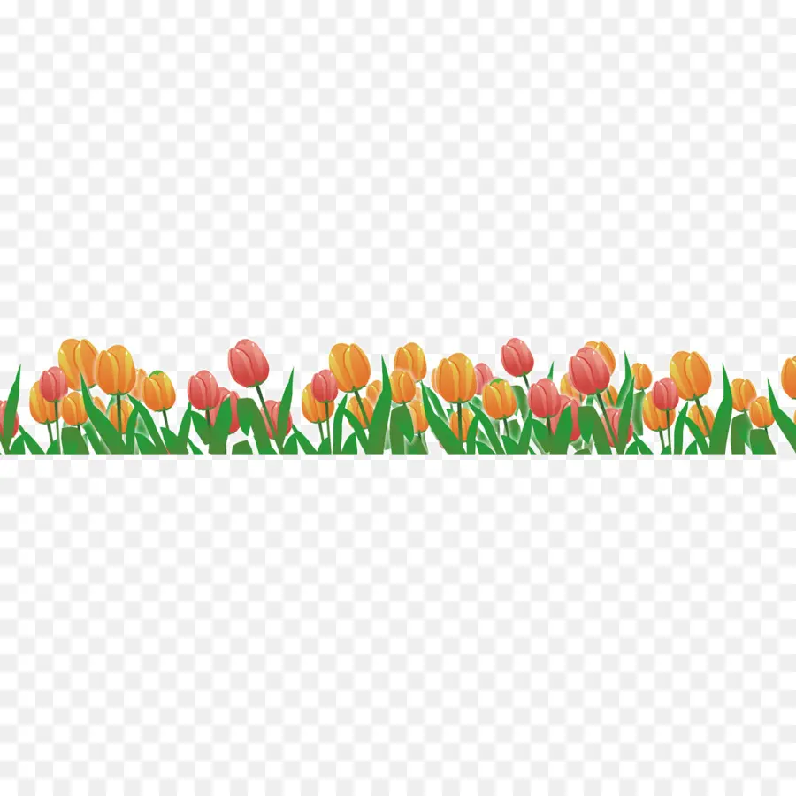 Tulipes，Jardin PNG