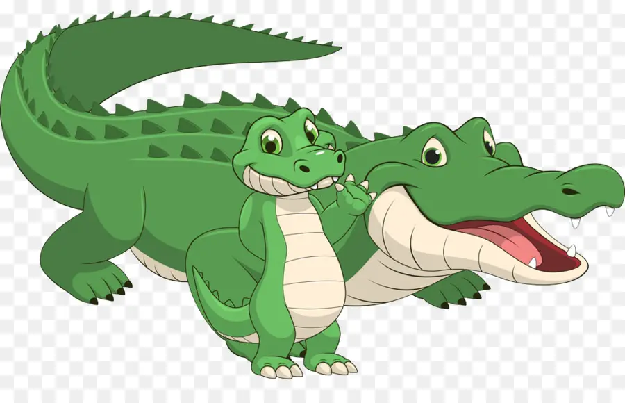 Crocodile，Alligator Américain PNG