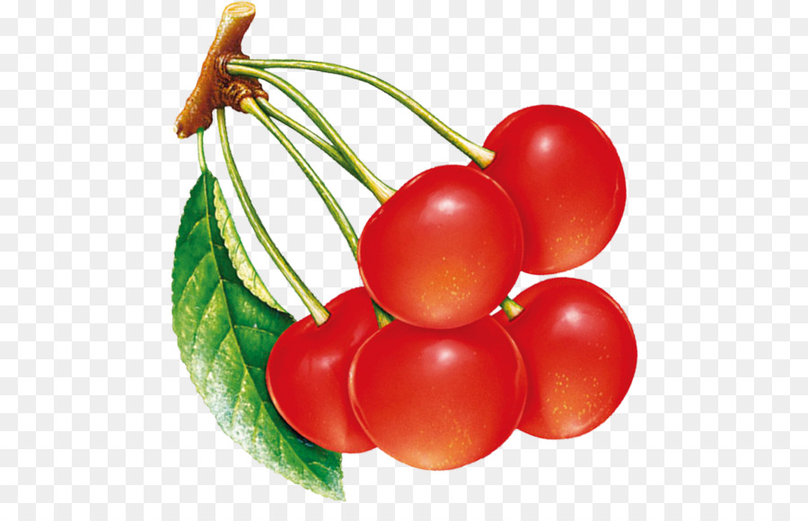 Cerises Rouges，Feuille PNG