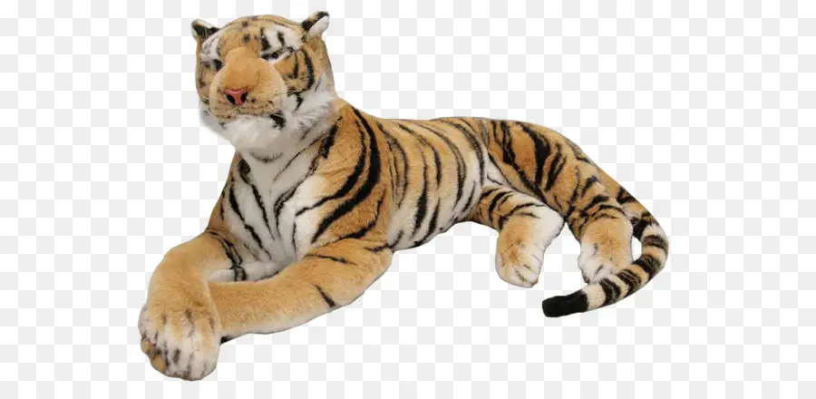 Tigre Au Repos，Animal PNG