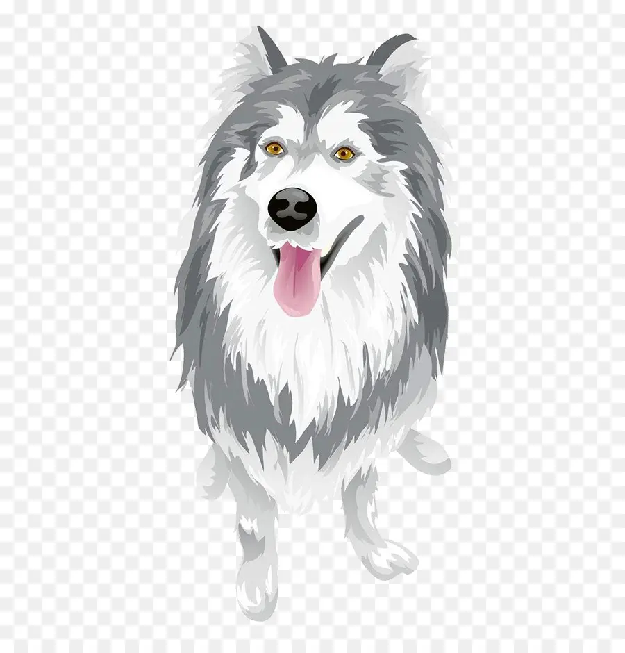 Chien，Animal De Compagnie PNG