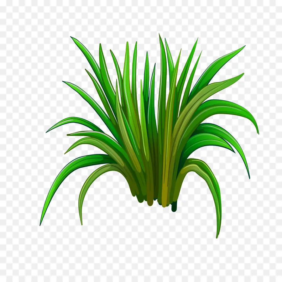 Herbe，Vert PNG