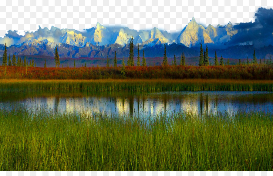 Denali，Le Parc National De Yellowstone PNG