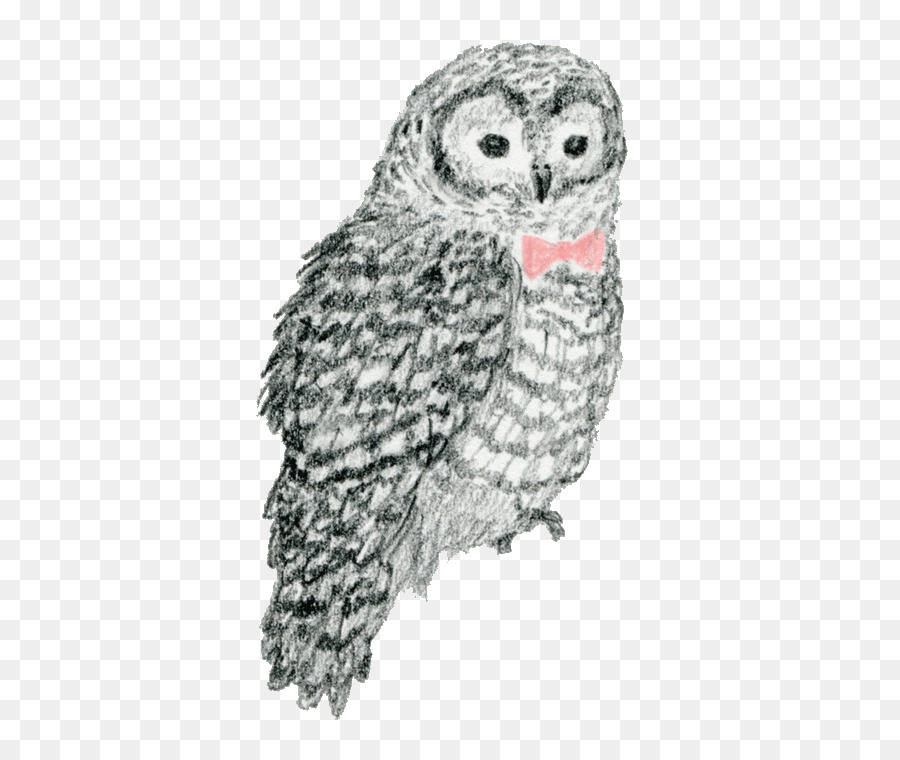 Hibou，Bifurquer PNG