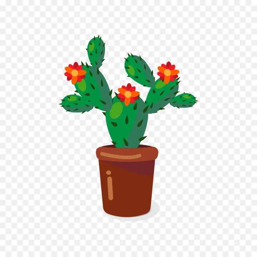 Cactus，Succulent PNG