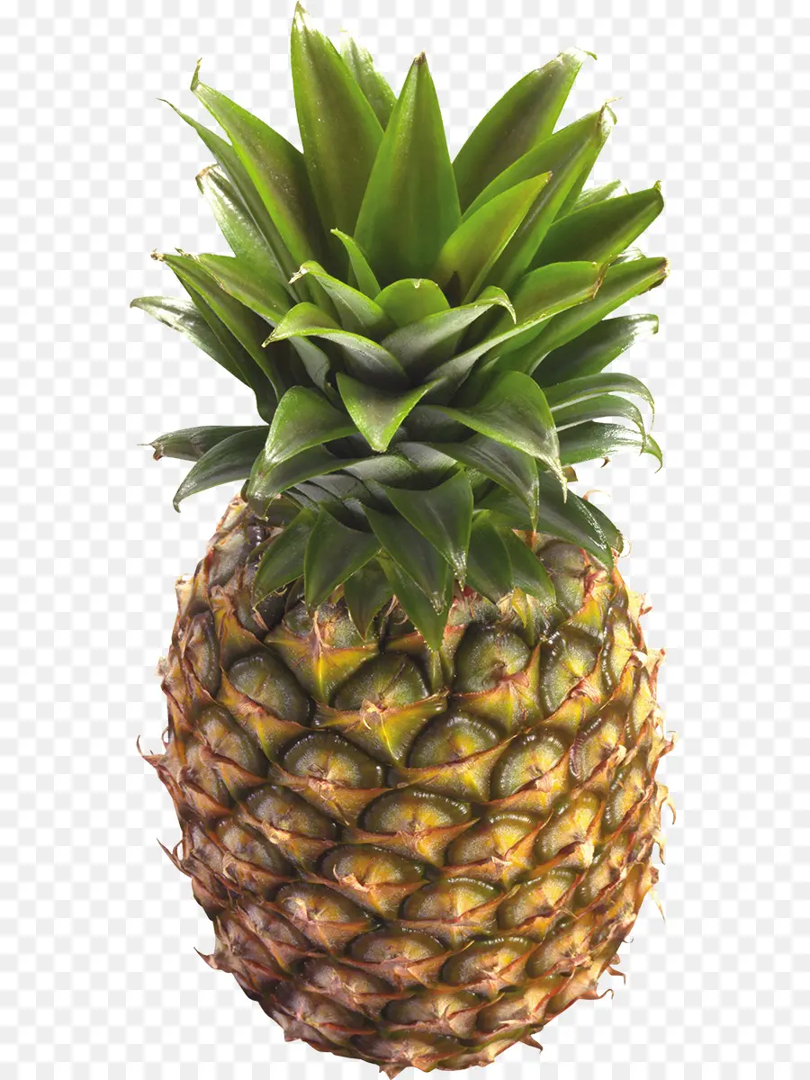 Ananas，Tropical PNG