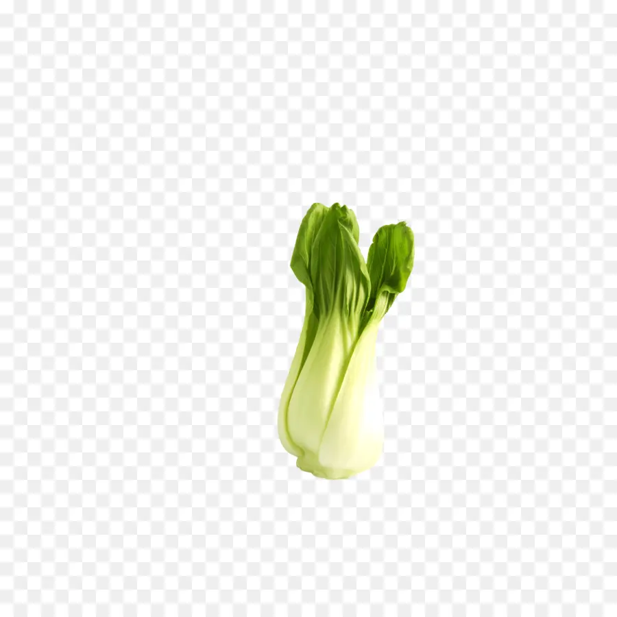 Bok Choy，Feuillu PNG