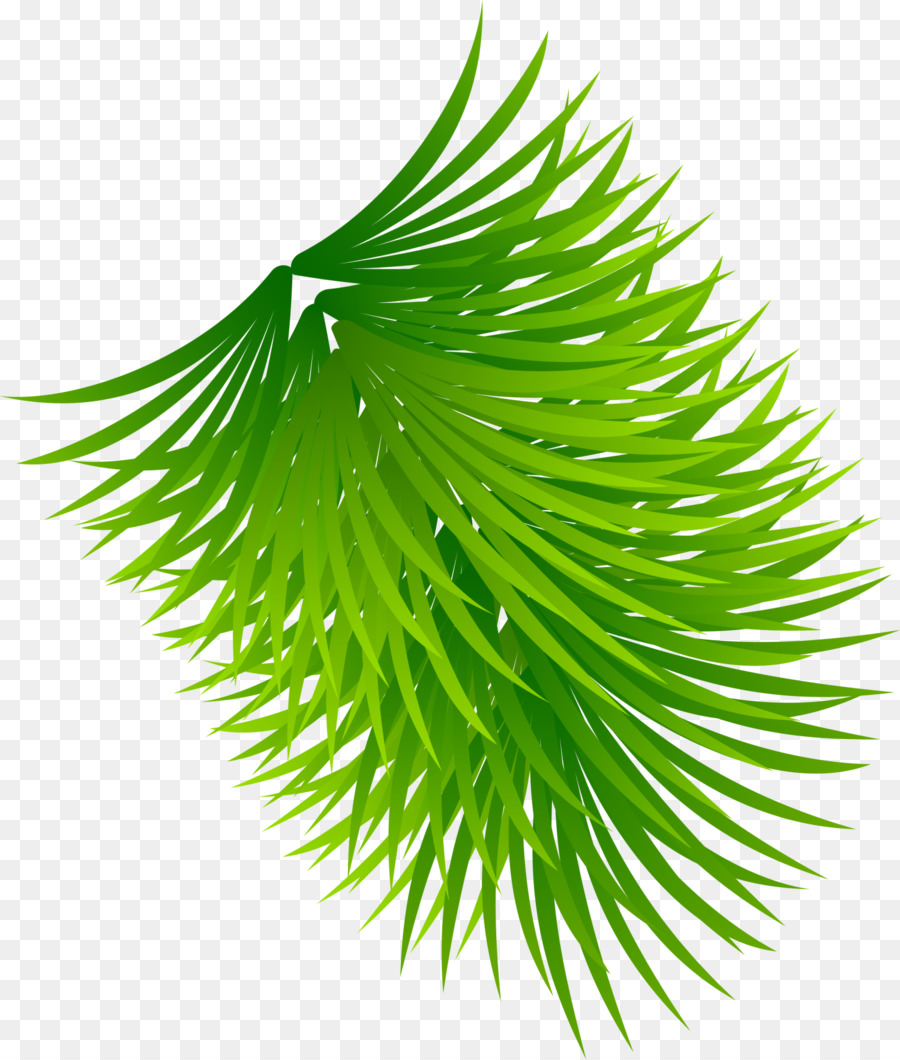 Feuilles De Palmier，Vert PNG