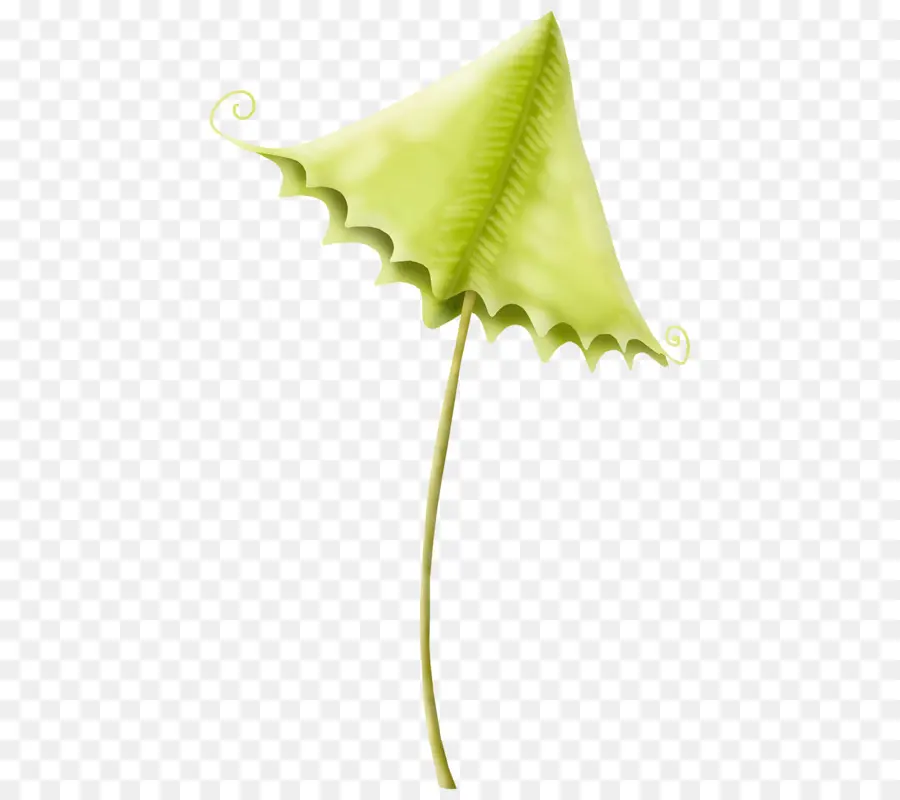 Feuille Verte，Nature PNG