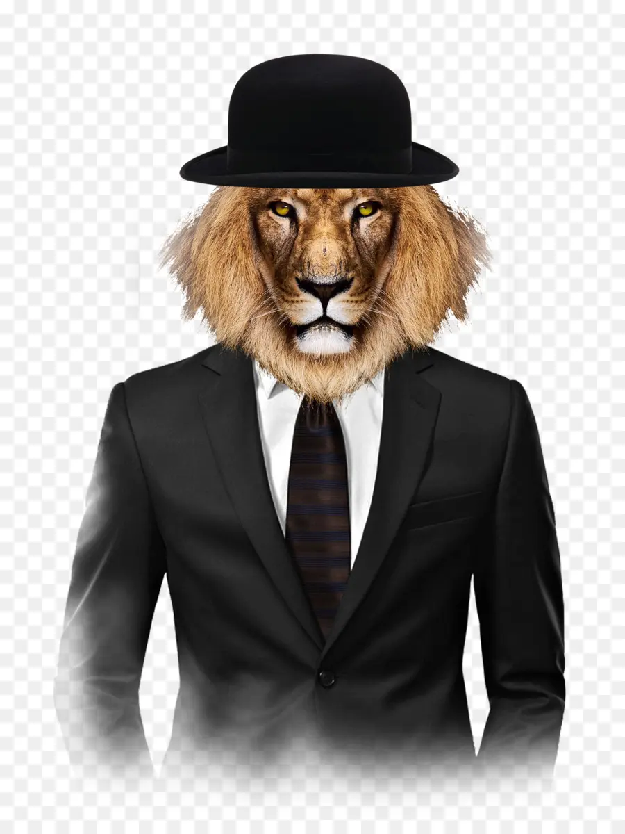 Lion En Costume，Chapeau PNG