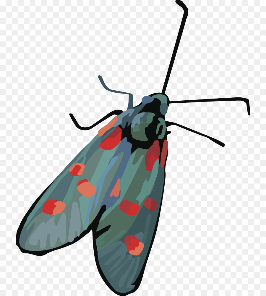 Papillon De Nuit，Bogue PNG