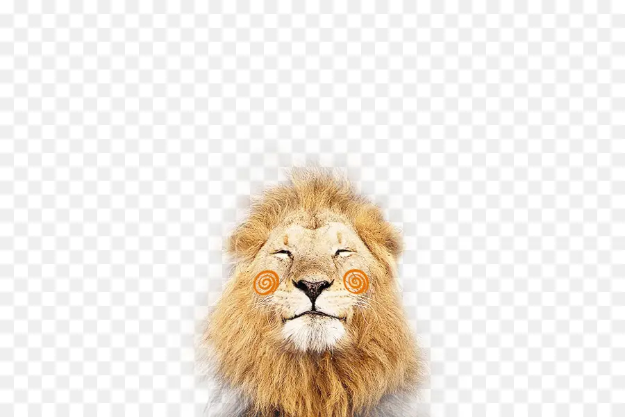 Lion，Affronter PNG