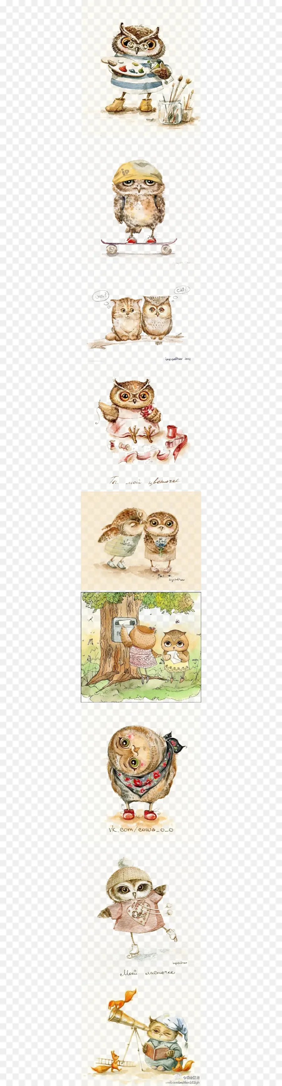 Illustrations Mignonnes De Hibou，Hibou PNG