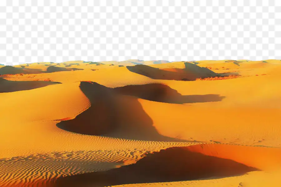 Sahara，Erg PNG