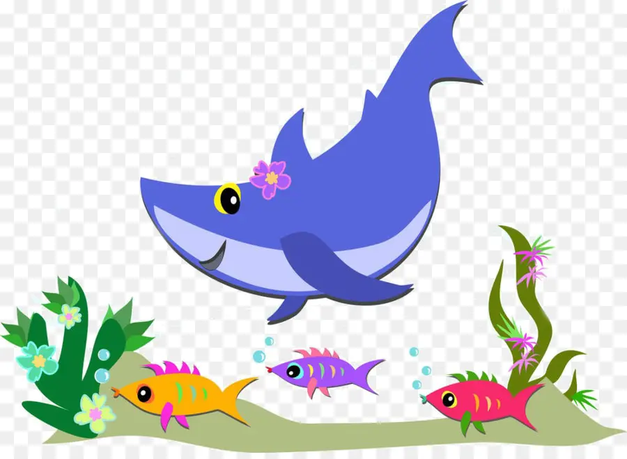 Requin，Poisson PNG
