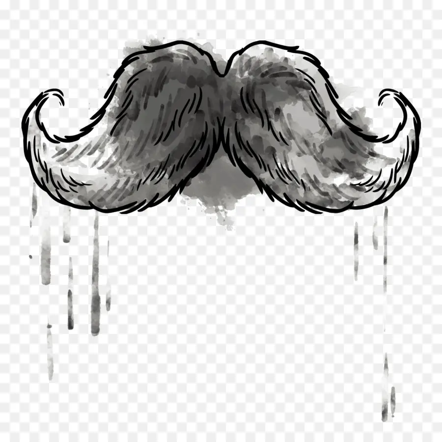 Moustache，Poils Du Visage PNG