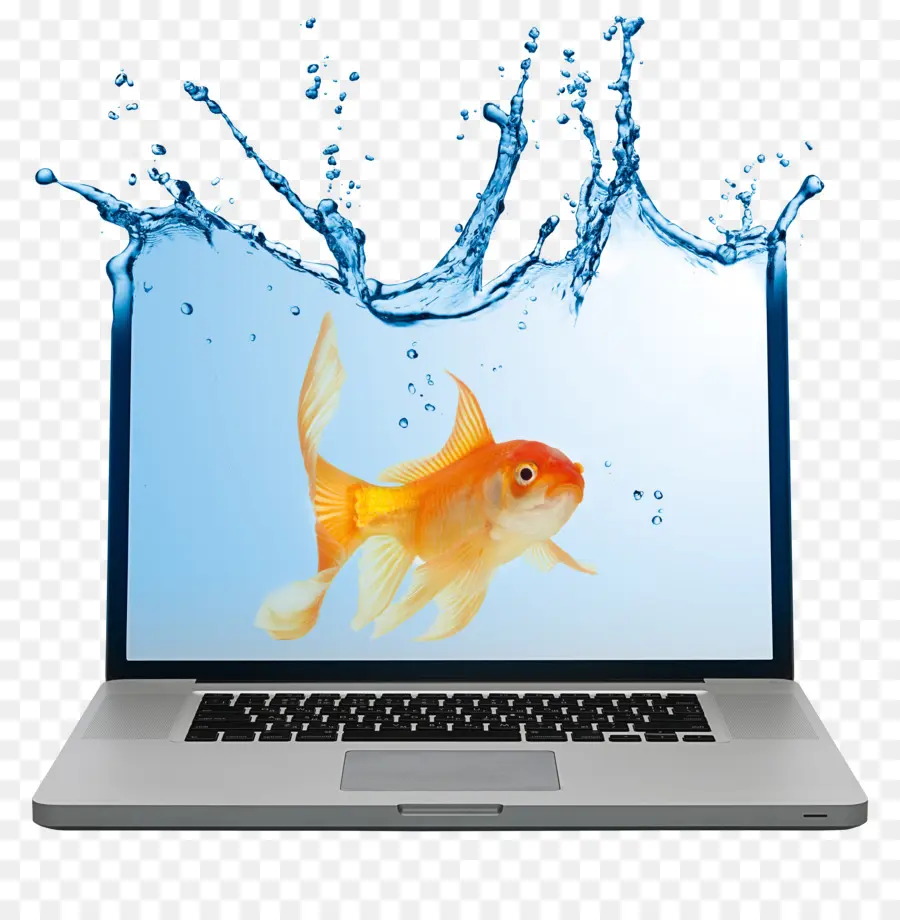 Poisson Sur L'écran D'un Ordinateur Portable，Virtuel PNG