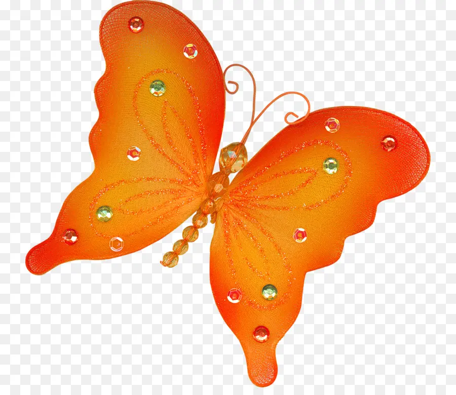 Papillon，Orange PNG