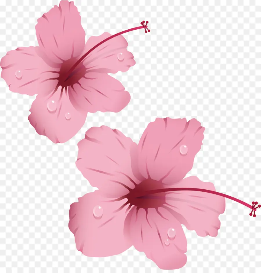 Fleurs Roses，Fleurs PNG