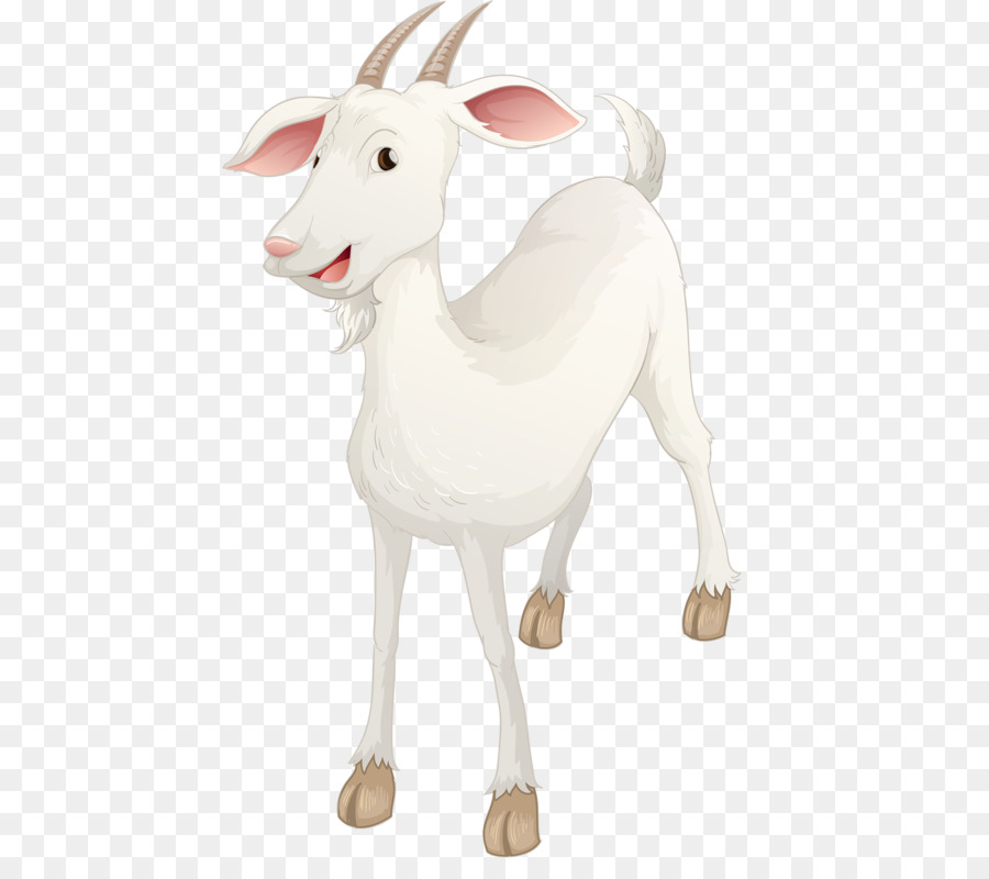 Les Moutons Chevre Sheepu13goat Hybride Png Les Moutons Chevre Sheepu13goat Hybride Transparentes Png Gratuit