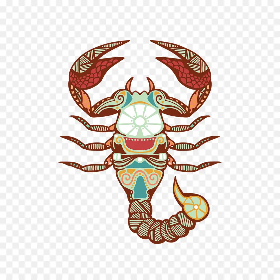 Scorpion，Illustration PNG