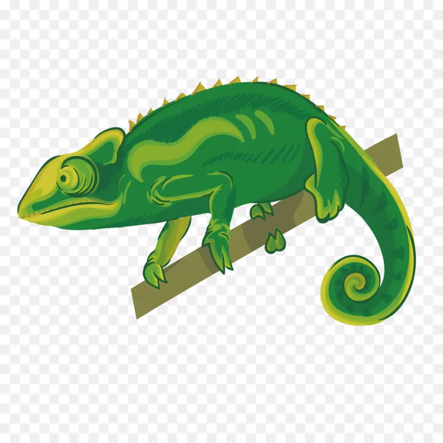 Caméléon Vert，Lézard PNG