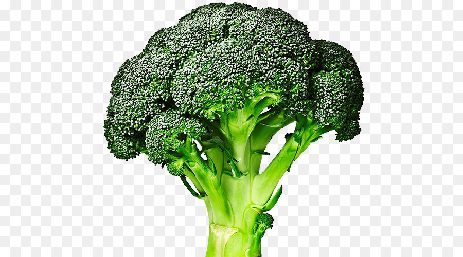 Brocoli，Nourriture PNG