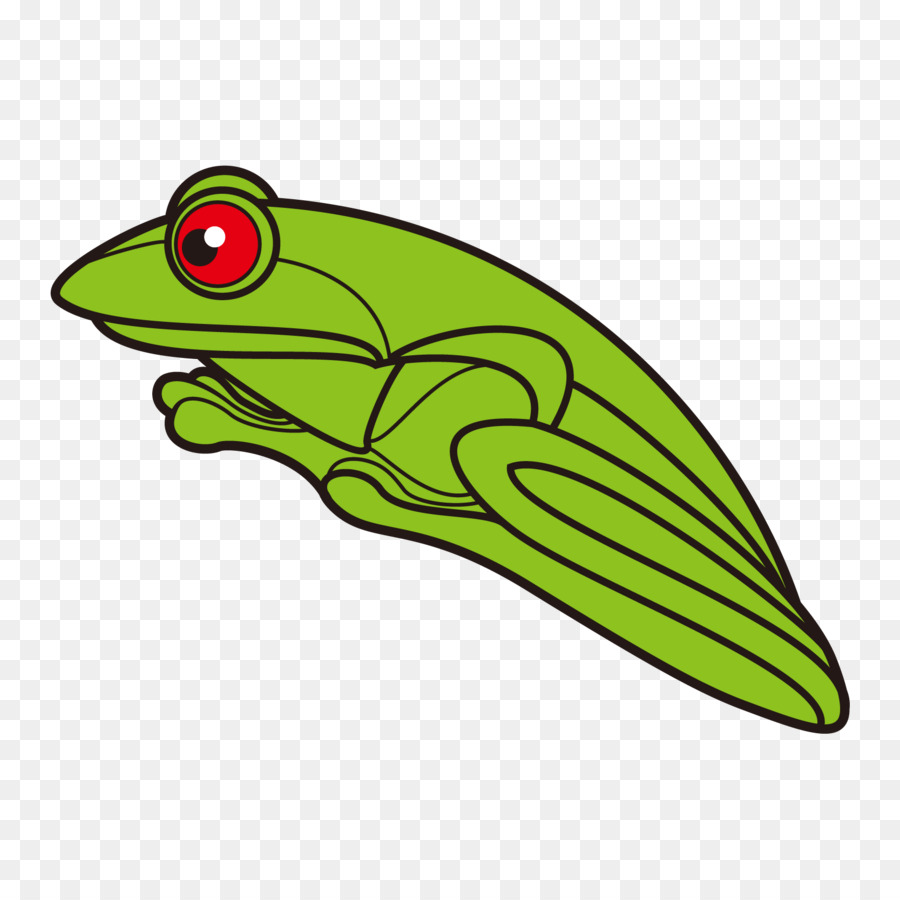 Grenouille，Rainette PNG