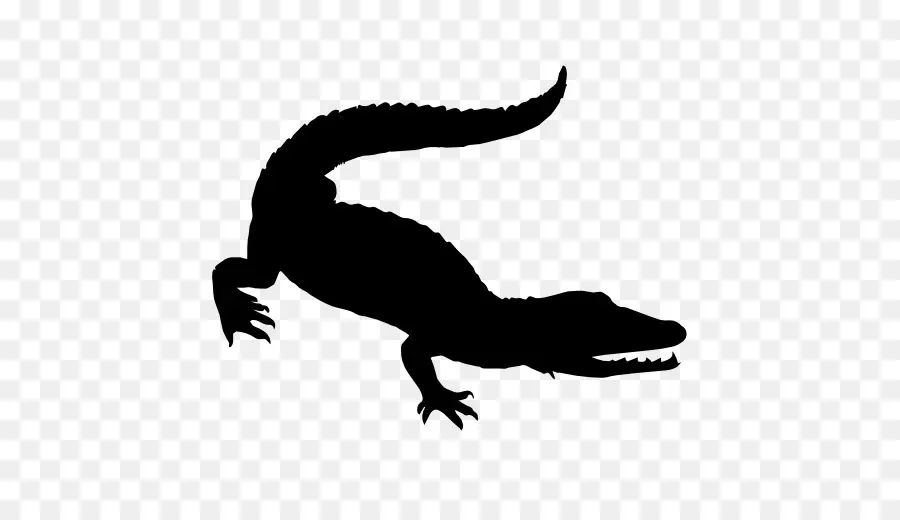 Crocodile，Reptile PNG