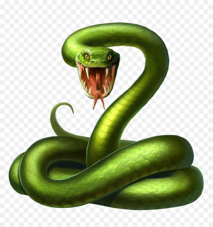 Serpent Vert，Reptile PNG